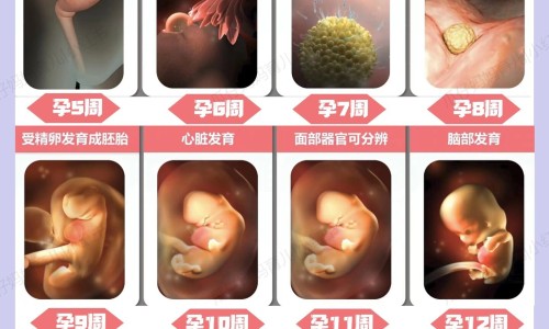 也没怀孕-例假推迟一个月的原因网 - 网站提供例假推迟几天能测出来怀孕小常识、例假推迟7天了还没来什么原因