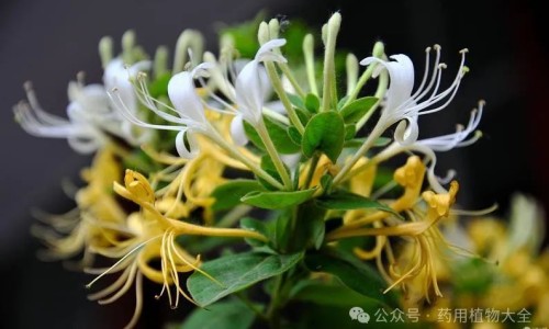 例假推迟一个月的原因网 - 网站提供例假推迟几天能测出来怀孕小常识、例假推迟7天了还没来什么原因